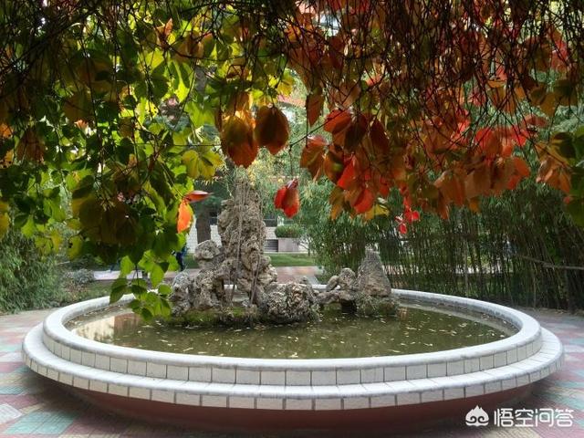 师昌绪院士:兰州最好的高中排名是怎样的？