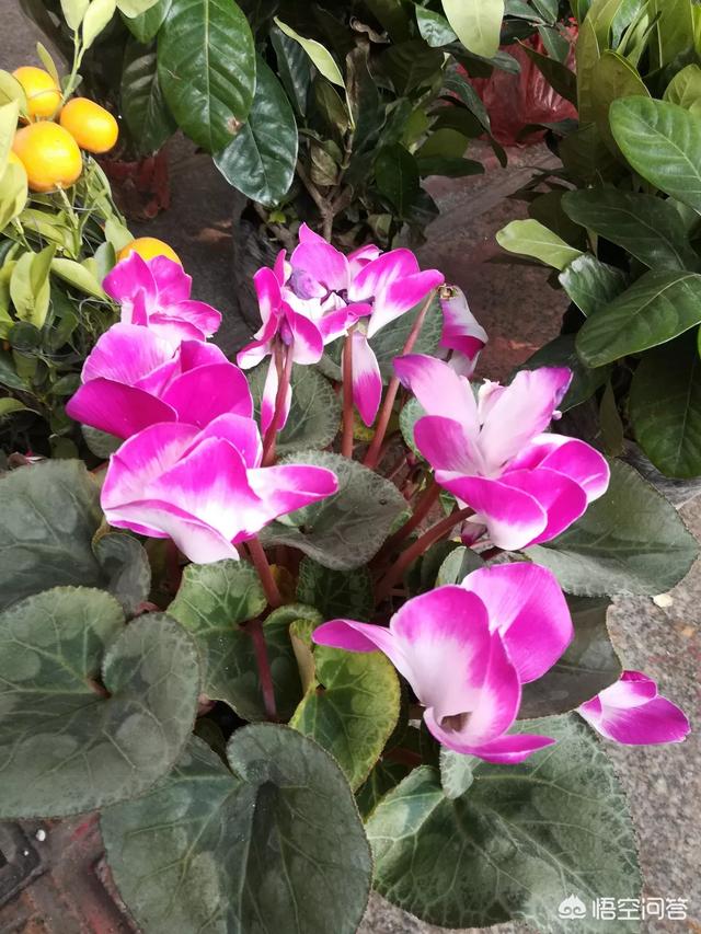 微信相亲怎么聊天:在微信上，怎么和相亲对象聊天？聊几天才能约出去？