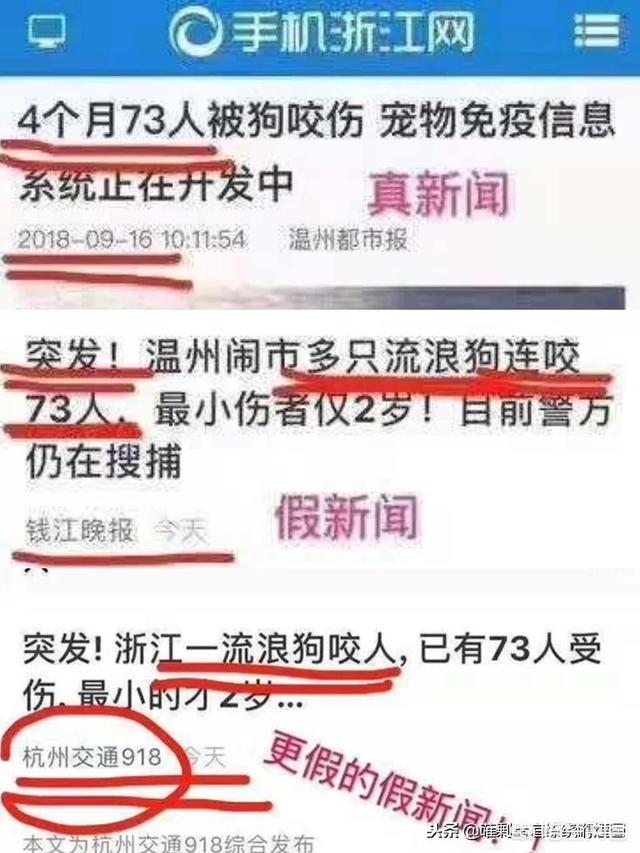 狗伤人:农村流浪狗成群，为何不像城里那样，发生宠物狗伤人事件？