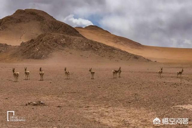 民间风水秘术口诀大全,去西藏旅游，是藏南风景美还是藏北风景美？