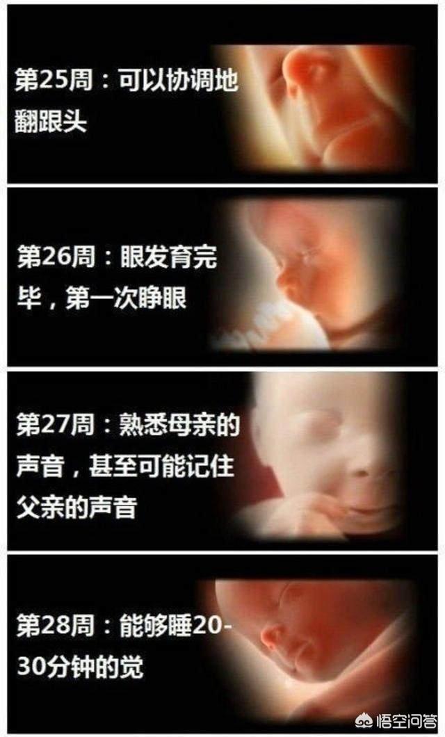 婴儿变化过程是什么样子的？