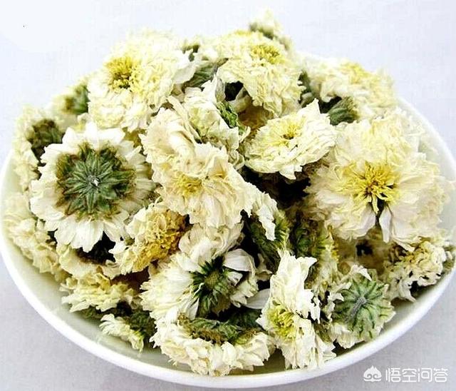 菊花茶的功效与禁忌(菊花茶的功效与禁忌菊花能减肥吗)