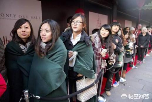 中国狸花猫在国外受欢迎吗:为什么欧洲的奢侈品会那么受国人喜欢？