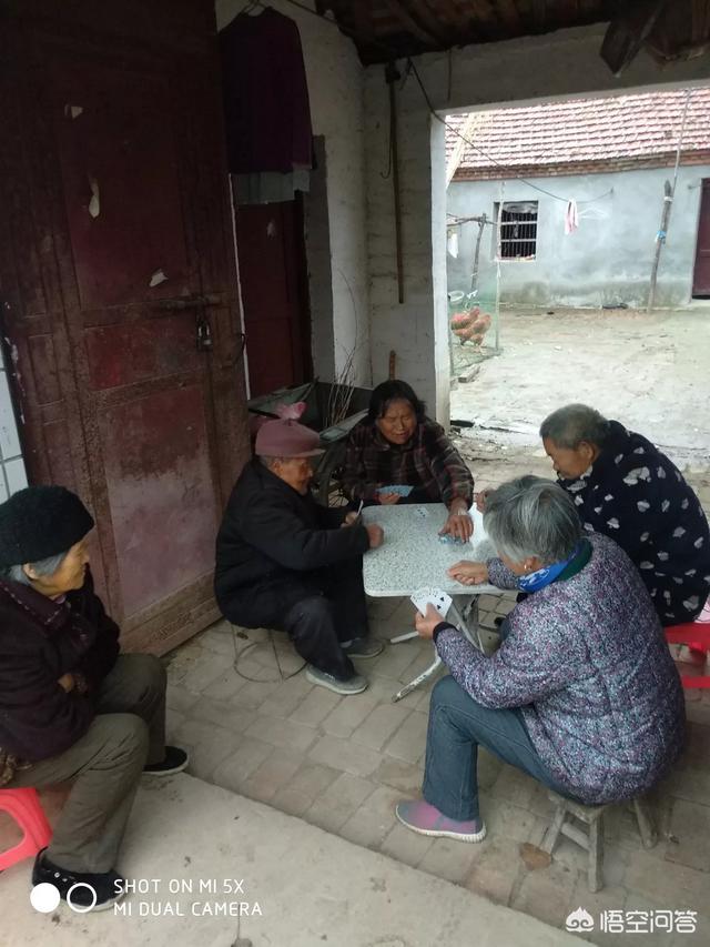 桃屋猫关银屏无惨图画:炊烟袅袅的农村，车水马龙的城市，你喜欢哪个呢？