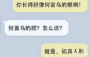 老黑功夫猪排创业成功，你见过最搞笑的对白是什么