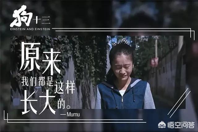 狗万官网正网n:买评论也不可能刷到豆瓣8.5，大咖团赞的《狗十三》魔力在哪？