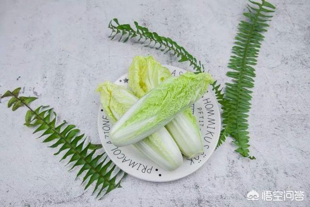 吉娃娃吃什么蔬菜好:多肉植物吉娃娃用什么土？