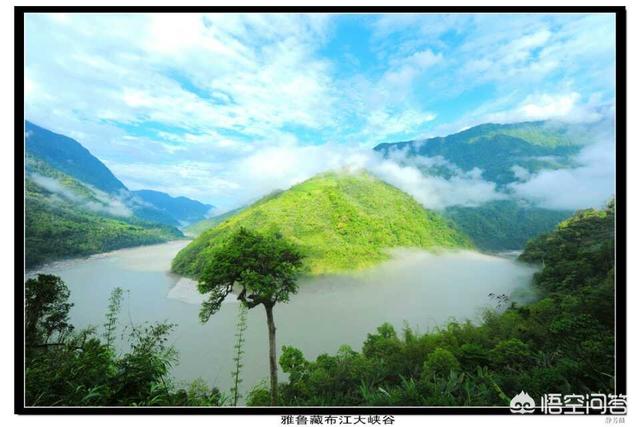 今年喜马拉雅山帝王花图片:你去过墨脱吗？那里真是传说中的世外桃源吗？