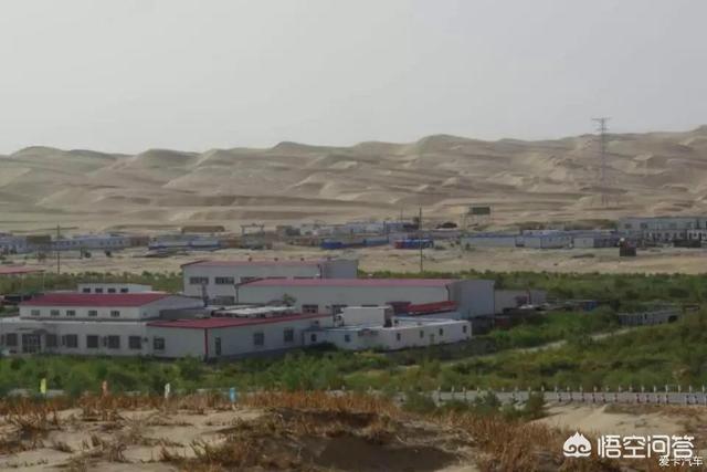 敦煌西湖保护区首次拍到荒漠猫:88公里千人徒步敦煌戈壁，你愿意参加吗？