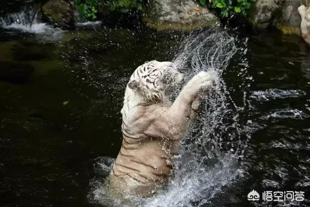 林永健孙红雷狗照片:哪个电视剧角色之前很丑突然有一天惊艳了你？ 牛头梗像林永健还是孙红雷