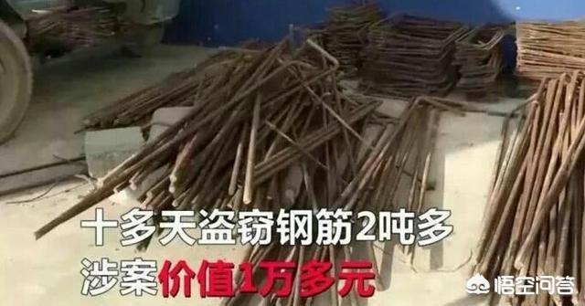 鸳鸯炮弹能养两条吗:对未来很迷茫怎么办？难道读书才是唯一出路吗？