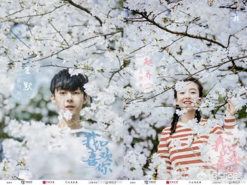 杨志刚电视剧:2019年你最期待哪部电视剧