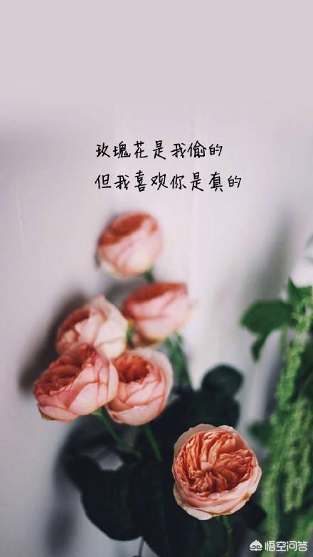 朋友圈表白说说:你读过的最美的告白句子是什么？(表白的优美句子古风)