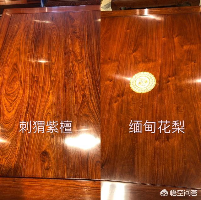 缅甸花梨与刺猬紫檀哪个好？插图17