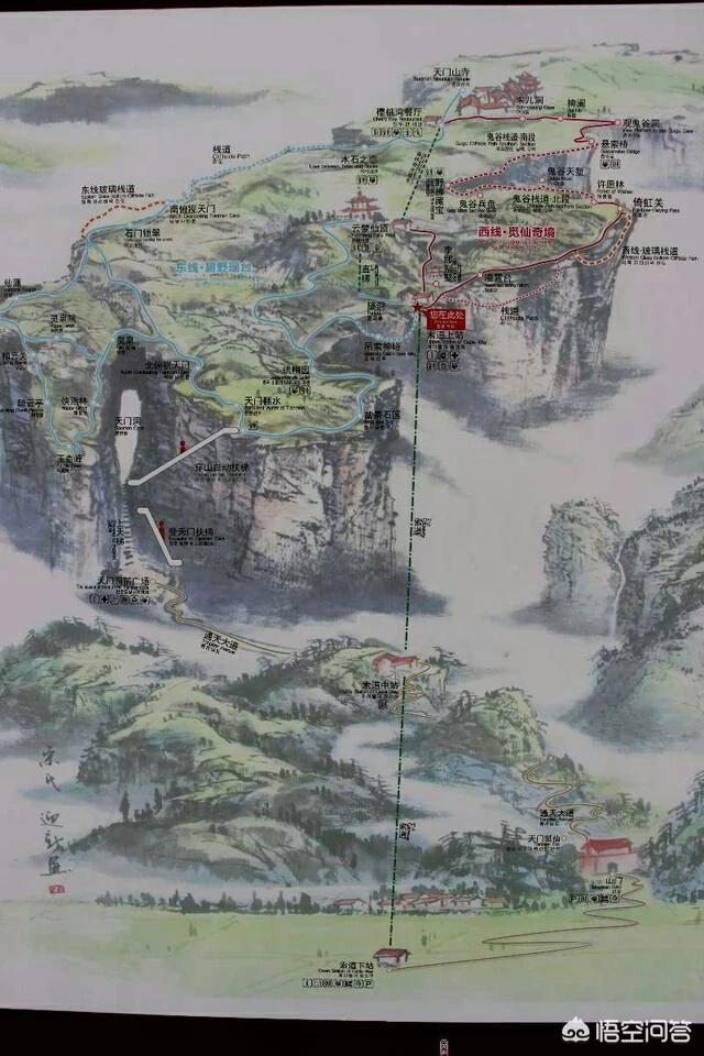 斐济鬣蜥红色:斐济鬣蜥冷知识 亚洲人和欧洲人有什么不一样的地方？