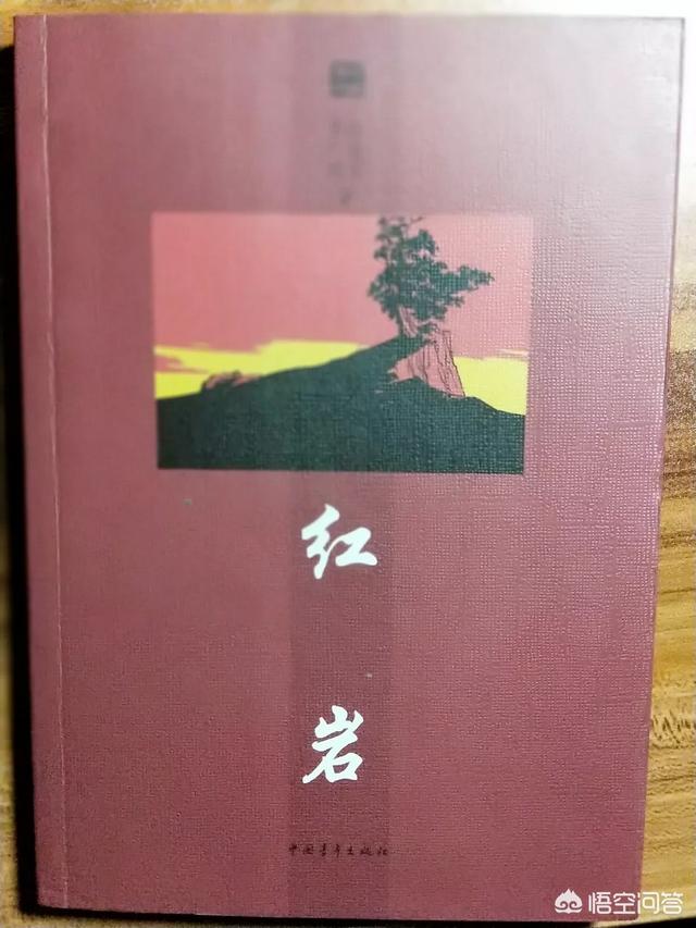 有哪本书你看了一遍,还想再看第二遍？
