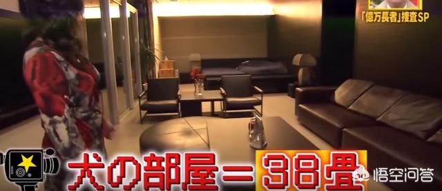 小林麻央:日本的顶级富豪平时都有哪些娱乐方式？