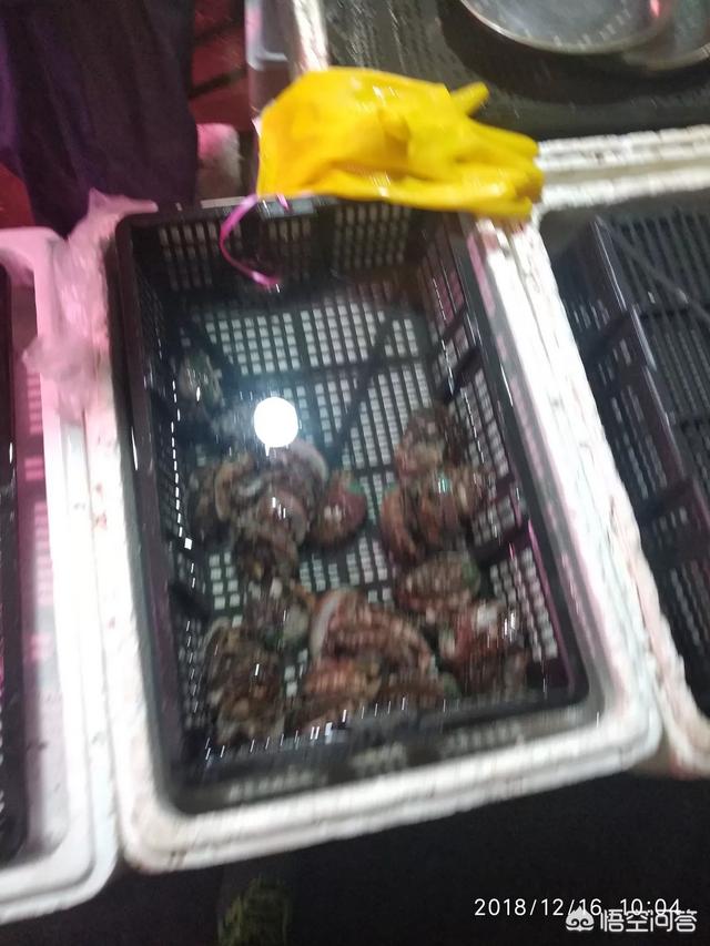你觉得哪些食材做法简单却很好吃?