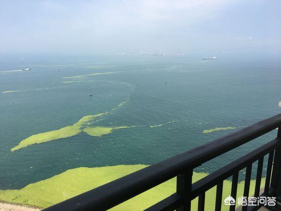 黄岛万达维多利亚湾相比周围房价低很多，现在值得购买吗