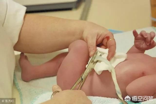 生孩子纪录片50分钟，宝宝在出生后被医生抱走的神秘10分钟里经历了什么