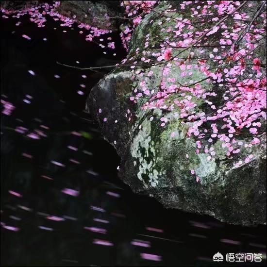 周华健花旦:哪一首歌的哪一句对你触动最大？