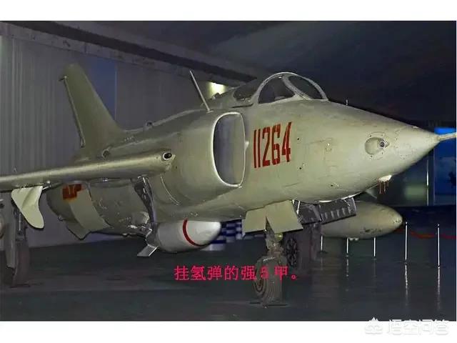 阿根廷巨鸟如同一架小型战斗机:“白天鹅”是徒有虚名吗，为啥能飞到3马赫？