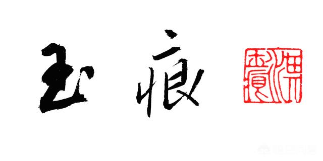 落地生根图片:可以互相嫁接不同颜色的长寿花吗？应该如何嫁接？