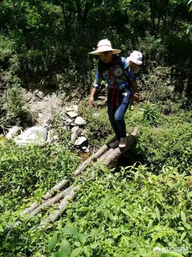 现在的三农自媒体该怎么做