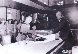 113e40007a97d6bf32281