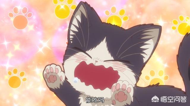 前略我与猫和天使同居外传:如何评价《同居人是猫》这部新番？它主要讲什么的？