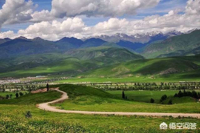 蓝脚鲣鸟一家原图:如果你去一个地方旅游，最想了解的是当地什么？