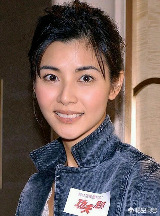 蒙嘉慧主演的电视剧:欧阳震华主演的电视剧有哪些是你重复看次数最多的？