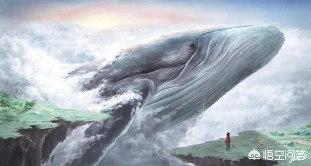 阿根廷巨鸟还存活么:神秘的大气层巨兽真的存在吗？ 阿根廷巨鸟什么时候灭亡的