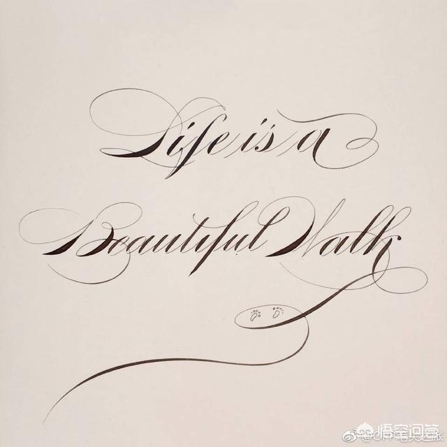 头条问答 如何练习英文字体 3个回答