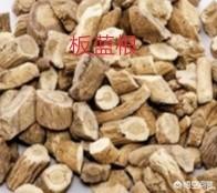 诺氟沙星胶囊的作用与功效:诺氟沙星会引起肾衰竭吗？有哪些需要注意的地方？