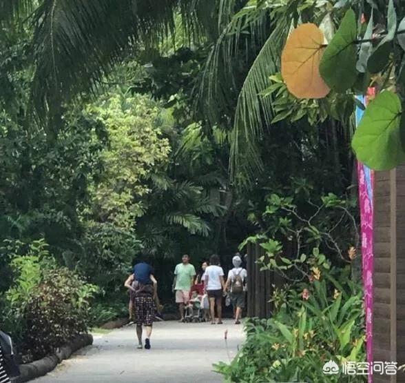 王菲张柏芝:如果你是谢霆锋，你选择王菲还是张柏芝