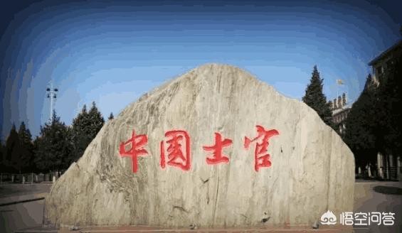 部队的士官学校好还是三本大学好？