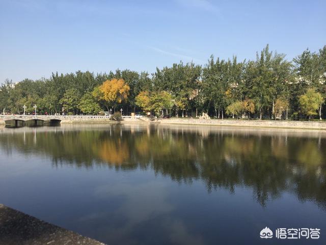 头条问答 新手养殖孔雀鱼时应该种什么水草 月明白鹭飞的回答 0赞