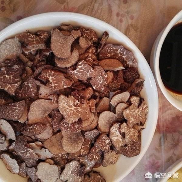 松露种植:松露是如何生长的？松露怎样采摘挖掘？