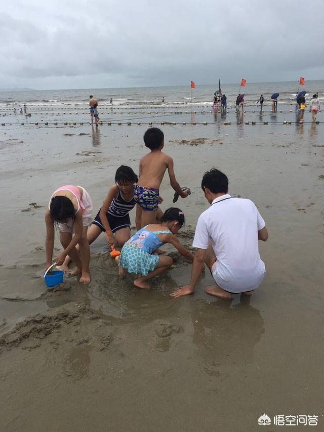 蹭来蹭去是什么意思联系生活实际:作为摄影爱好者，你怎么看待“偷拍”、“摆拍”和“蹭拍”？