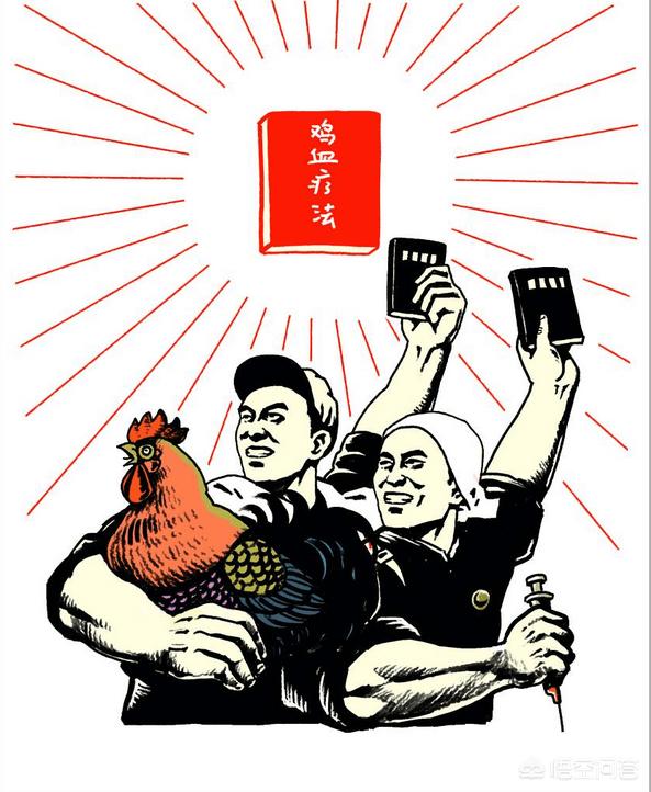 为什么用打鸡血来形容一个人干劲十足