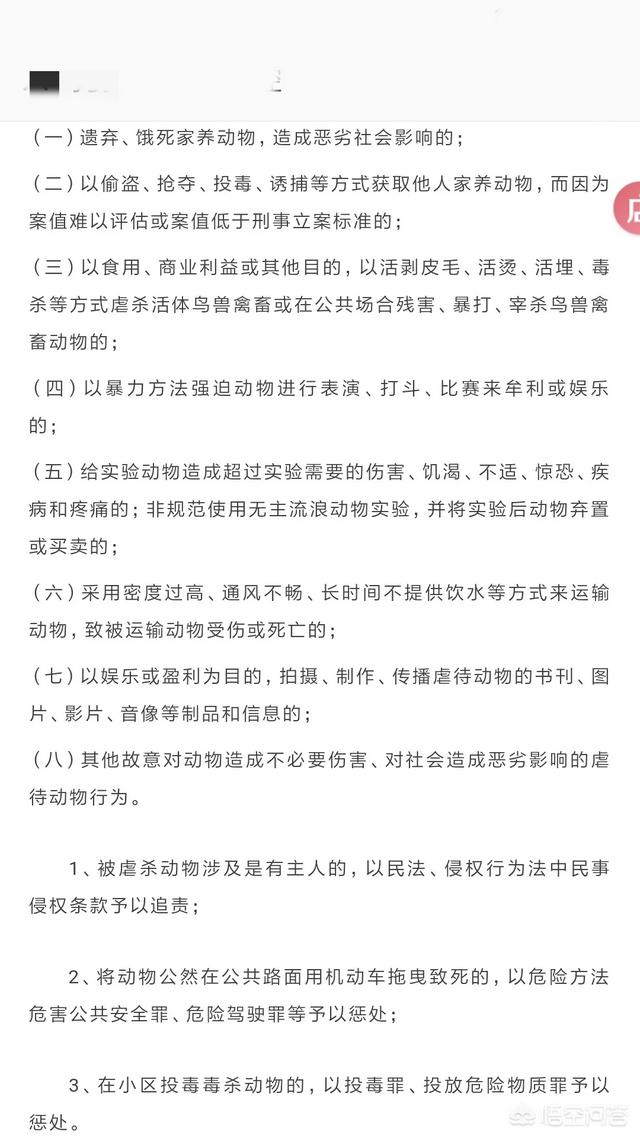 南宁禁止养狗条例:犬只管理是合法合规的，那么对于恶意伤犬的人该怎么监管呢？