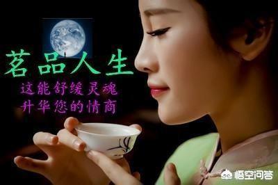 为什么孙子不迁爷爷的坟,孙子辈可否给爷爷，奶奶立碑？