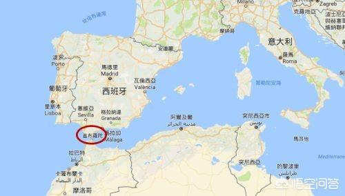 挪威海蛇图片:该如何看待英国国防大臣表示“将向乌克兰派兵”一事？