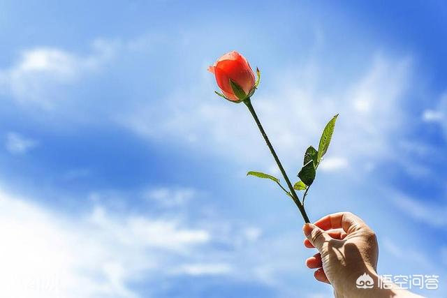 如何正确的评价一节课？
