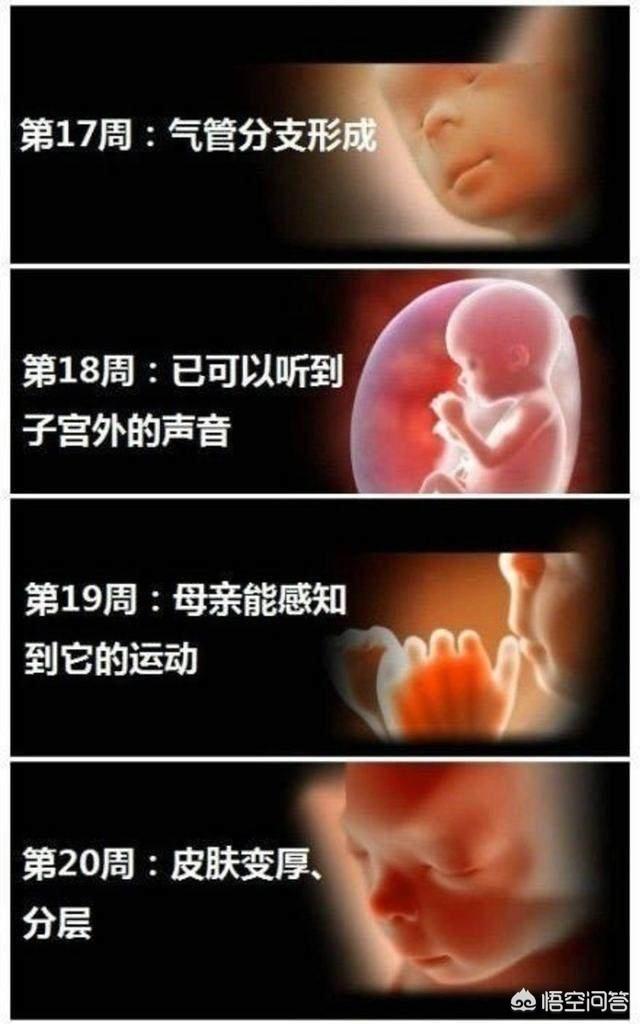 婴儿变化过程是什么样子的？