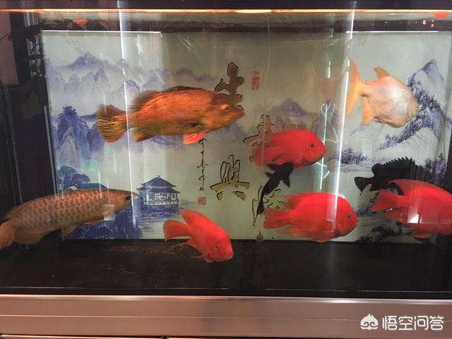 小货车在西安跑货拉拉的话,跑活收入怎么样？