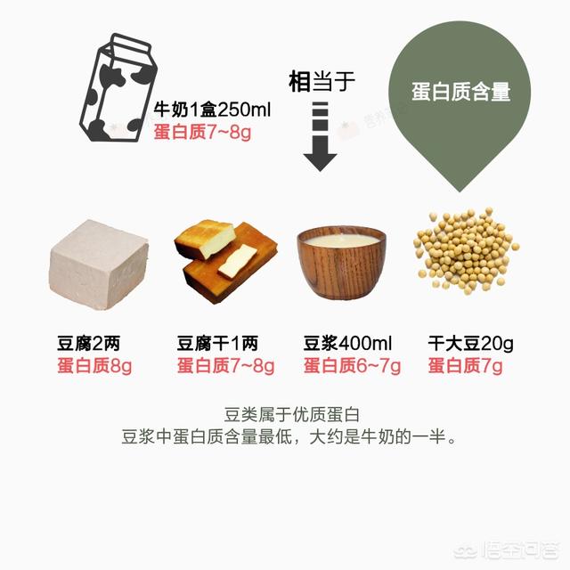 蛋白质含量高的食物:豆浆蛋白质高不高,健身后喝豆浆对肌肉有帮助吗