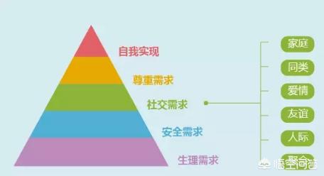 从关系到价值，传统品牌的社群运营模式如何设计