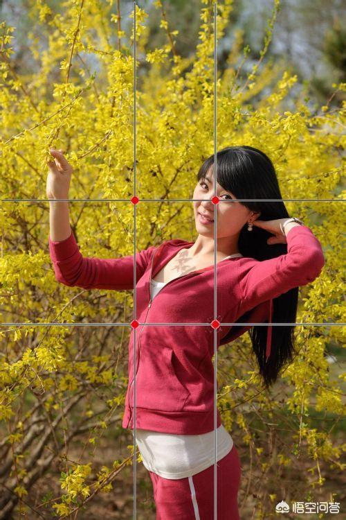 在摄影的构图中应该如何进行布局